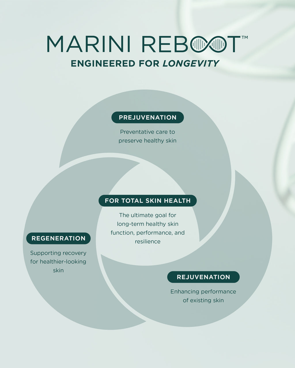 Marini Skin Solutions - Reboot™ PDRN Face Serum